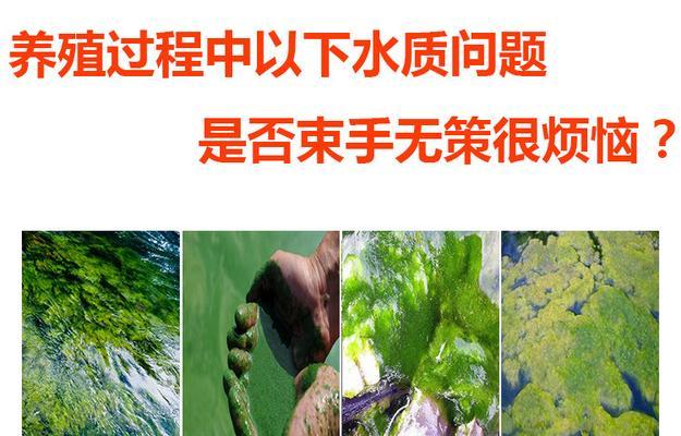 如何清除净水器中的绿苔？（有效清除净水器中的绿苔，让水质更健康）  第2张