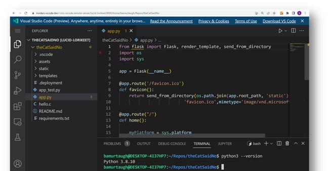 VS Code Server 本地 Docker 部署+贝锐花生壳内网穿透远程访问教程  第1张