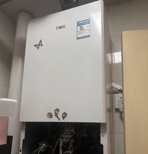 大宇壁挂炉出现E3故障的原因分析与解决方法（探究大宇壁挂炉E3故障的来源及有效解决方法）  第2张