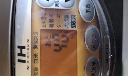 电饭煲发糕不发酵问题解决方法（电饭煲发糕不发酵原因分析及解决技巧）  第1张