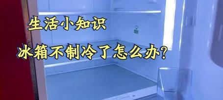 冬天使用冰柜不制冷的原因及解决方法（冬天为什么冰柜不制冷）  第2张